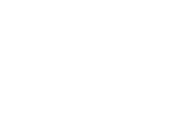 Men's Journal & Dr. Dish Basketball